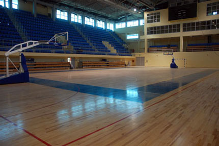 Sportska hala Smederevo - Pogled na teren
