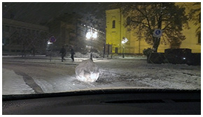 Prve zimske radosti u gradu :-D - Smederevo, 09.12.2012. 00:30, centar grada