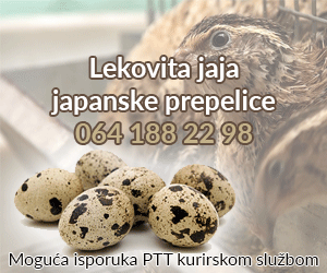 Jaja japanske prepelice - Pozovite 064 188 28 98 Jaja japanske prepelice - Pozovite 064 188 28 98