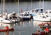 Beogradsko – smederevska jesenja regata Beogradsko-smederevska jesenja regata