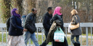 Novi azilanti zatečeni kod Smedereva Grupa azilanata