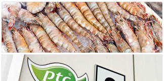 VUČIĆ U SMEDEREVU Srpska riba za ceo svet, gradu 300 novih radnih mesta