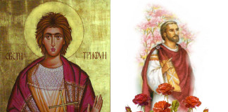 Koji praznik obeležavate? Sveti Trifun ili dan zaljubljenih? Koji praznik obeležavate? Sveti Trifun ili dan zaljubljenih?