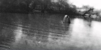 Smederevski alasi decenijama prenose legende o Kemzi Jedina slika gde se "vidi" Kemza